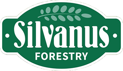 Silvanus Forestry