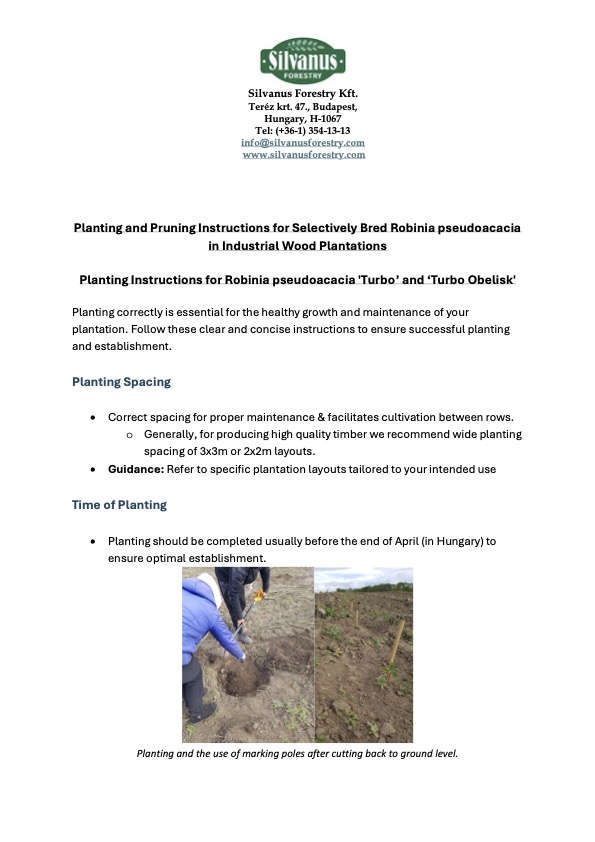 Planting and Pruning Instructions for Selectively Bred Robinia pseudoacacia